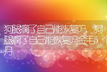 狗腿瘸了自己能恢复吗，狗腿瘸了自己能恢复吗金毛5个月