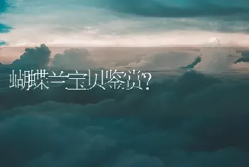 蝴蝶兰宝贝鉴赏？