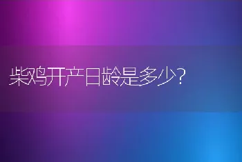 柴鸡开产日龄是多少？