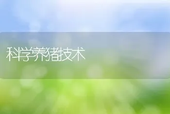 科学养猪技术