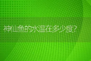 神仙鱼的水温在多少度？