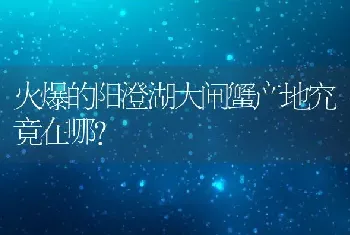 火爆的阳澄湖大闸蟹产地究竟在哪？