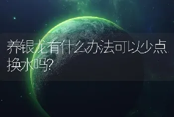 养银龙有什么办法可以少点换水吗？