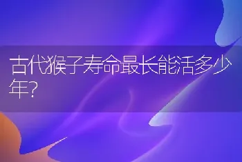 古代猴子寿命最长能活多少年？