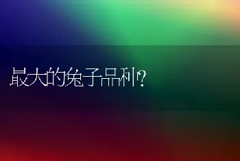 最大的兔子品种？