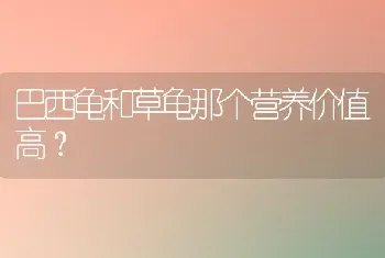 巴西龟和草龟那个营养价值高？