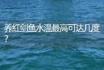 养红剑鱼水温最高可达几度？