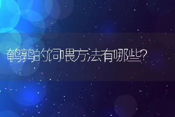 鹌鹑的饲喂方法有哪些？