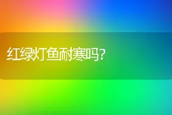 红绿灯鱼耐寒吗？