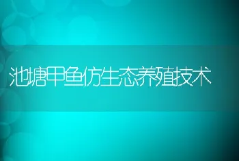 池塘甲鱼仿生态养殖技术