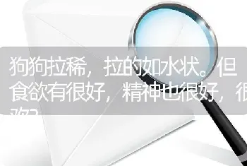 狗狗拉稀，拉的如水状。但食欲有很好，精神也很好，很欢？