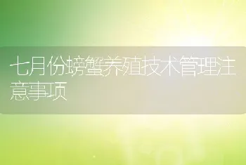 七月份螃蟹养殖技术管理注意事项