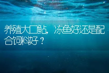 养殖大口鲇，冻鱼好还是配合饲料好？