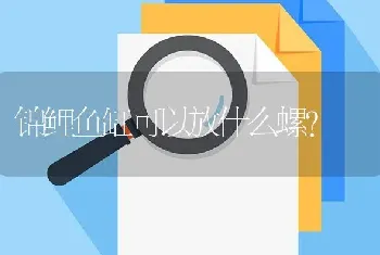 锦鲤鱼缸可以放什么螺？