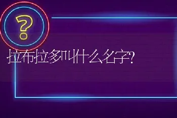 阿拉斯加几岁温顺？