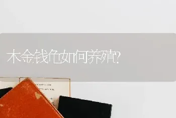 我买了一只白文鸟有两天了,它为什么不叫？