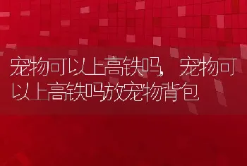 宠物可以上高铁吗，宠物可以上高铁吗放宠物背包