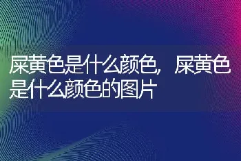 屎黄色是什么颜色，屎黄色是什么颜色的图片