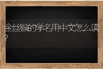 金丝猴的学名用中文怎么读？