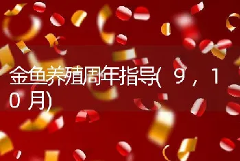 金鱼养殖周年指导(9,10月)