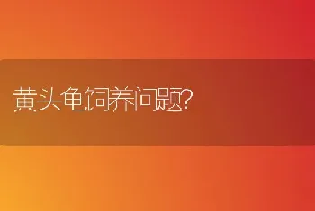 剃刀龟苗适应什么温度？