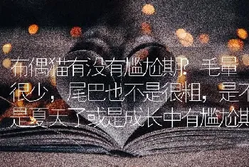 布偶猫有没有尴尬期?毛量很少，尾巴也不是很粗，是不是夏天了或是成长中有尴尬期？