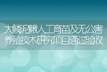 大鳞泥鳅人工育苗及无公害养殖技术研究项目通过验收