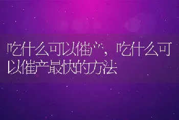 吃什么可以催产，吃什么可以催产最快的方法