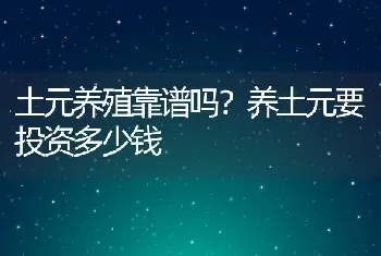 土元养殖靠谱吗？养土元要投资多少钱