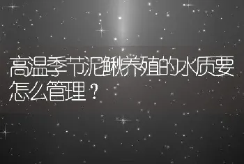 高温季节泥鳅养殖的水质要怎么管理？