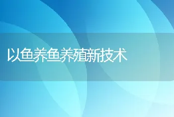 以鱼养鱼养殖新技术