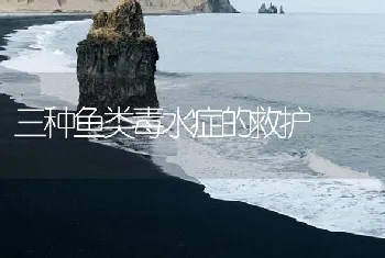 三种鱼类毒水症的救护