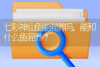 七彩神仙鱼能混养吗，能和什么鱼混养？