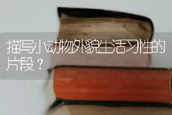 描写小动物外貌生活习性的片段？