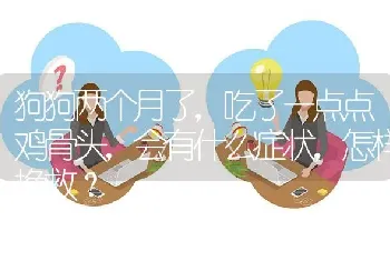 狗狗两个月了，吃了一点点鸡骨头，会有什么症状，怎样挽救？