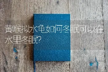 黄喉拟水龟如何冬眠可以在水里冬眠？