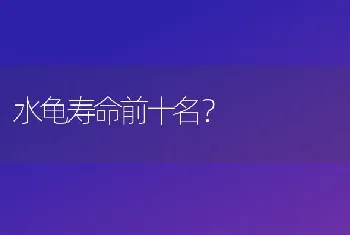 水龟寿命前十名？