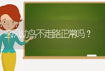 玄凤幼鸟不走路正常吗？