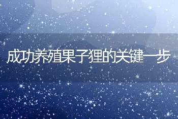 成功养殖果子狸的关键一步