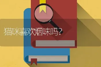 为什么白猫尾巴是橘色的？