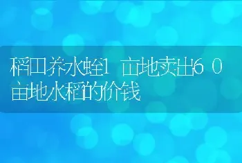 稻田养水蛭1亩地卖出60亩地水稻的价钱