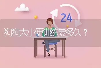 狗狗大小便训练要多久？