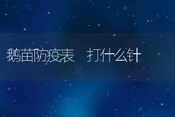 鹅苗防疫表 打什么针