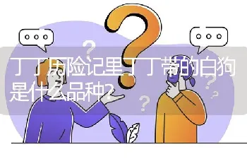 丁丁历险记里丁丁带的白狗是什么品种？