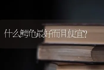 什么鳄龟最好而且便宜？