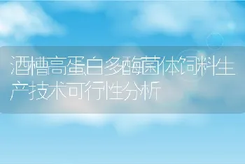 酒槽高蛋白多酶菌体饲料生产技术可行性分析