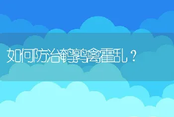 如何防治鹌鹑禽霍乱？