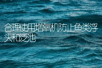 合理使用增氧机防止鱼类浮头和泛池