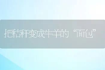 把秸秆变成牛羊的面包