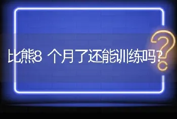 比熊8个月了还能训练吗？